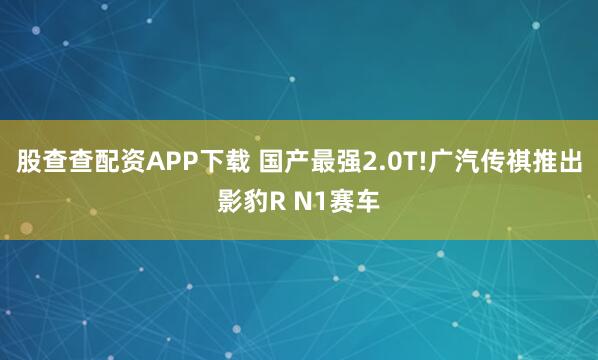 股查查配资APP下载 国产最强2.0T!广汽传祺推出影豹R N1赛车